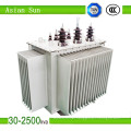 11kv Oil Cooled Oil-Immersed Power Transformer (250kVA)